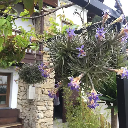 בית נופש La Ferreria *